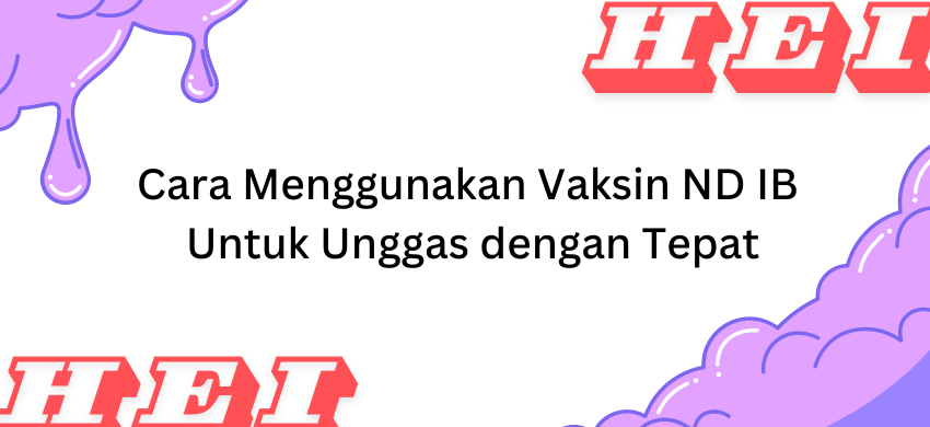 Cara Menggunakan Vaksin ND IB untuk Unggas dengan Tepat