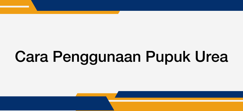 Cara Penggunaan Pupuk Urea